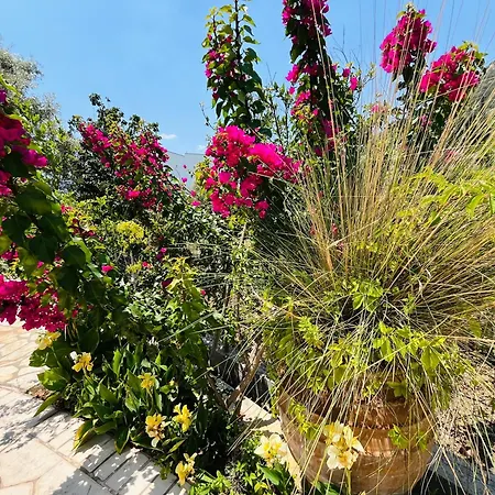 The Villa, Perigiali - Luxury Beachfront * Nydri (Lefkada)